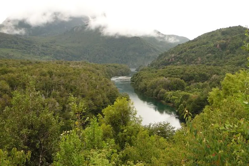 Los Alerces National Park